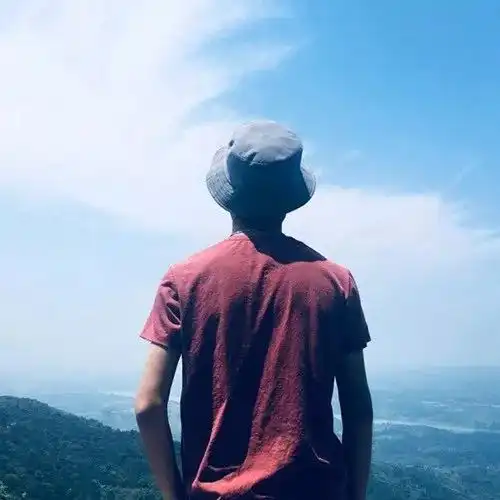 测试一个超长简介的文章