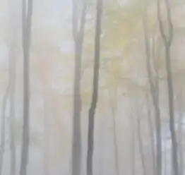如何调出一张梦幻感的照片上