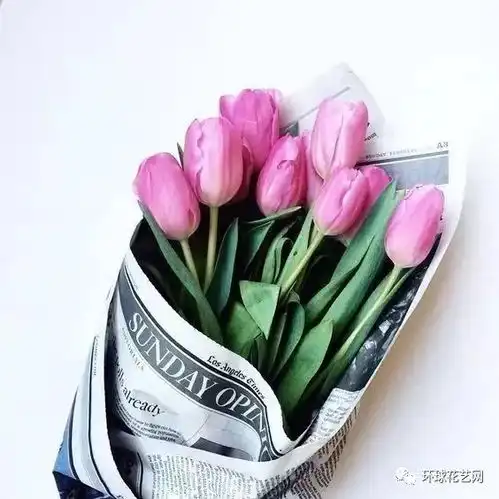 情人节玫瑰太贵,何不用这些花表达我爱你