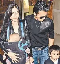 谢霆锋张柏芝婚前协议曝光抢子大战一触即发