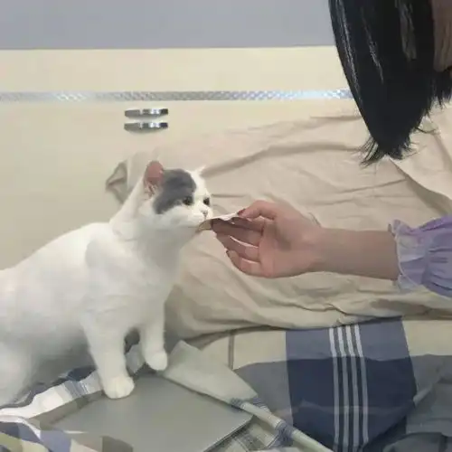 滴滴另一半不是人情侣头像来啦