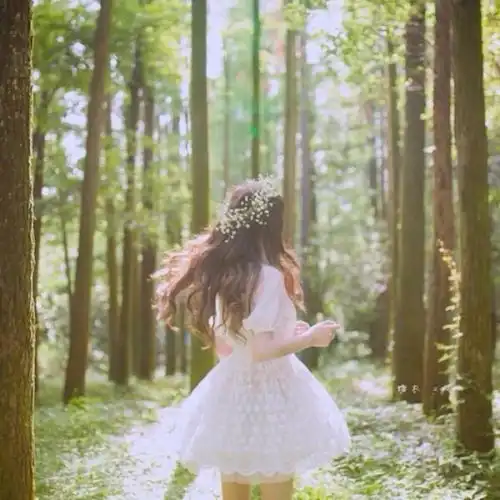 测试一个超长简介的文章