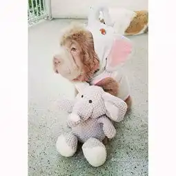 测试一个超长简介的文章