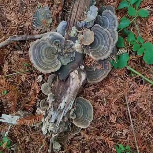 测试一个超长简介的文章