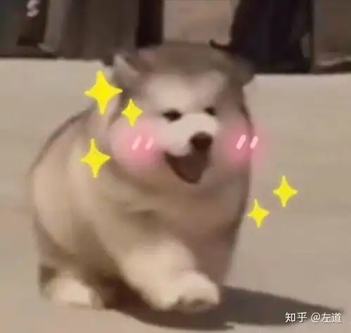 新手推荐哪个眼影nyx3ce完美日记小猪盘