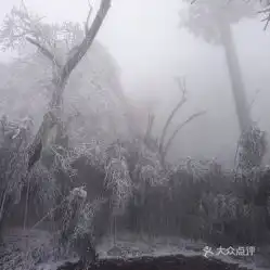 电话,地址,价格,营业时间南川区周边游