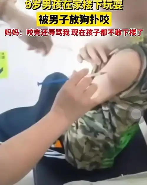 9岁男孩被男子恶意放狗扑咬事后拒绝赔偿,男孩妈妈维权遭辱骂