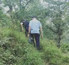 痛心日照一男子带女儿,在小树林喝药自杀,结果...