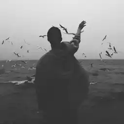 测试一个超长简介的文章