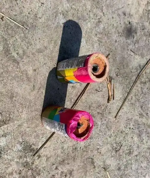 梅州又有一村民被抓放烟花引发森林火灾