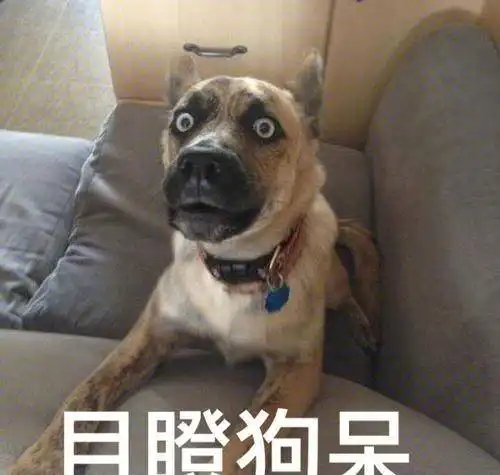 狗狗绝育的利与弊,建议铲屎官收藏