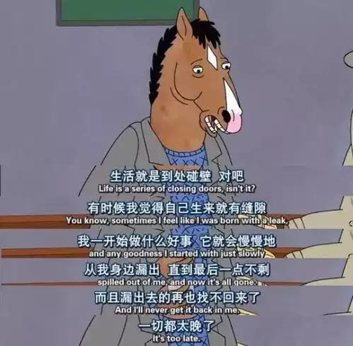 搜狐网