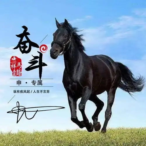 万马奔腾配上百家姓微信头像,气势如虹,朋友圈最靓的崽就是你