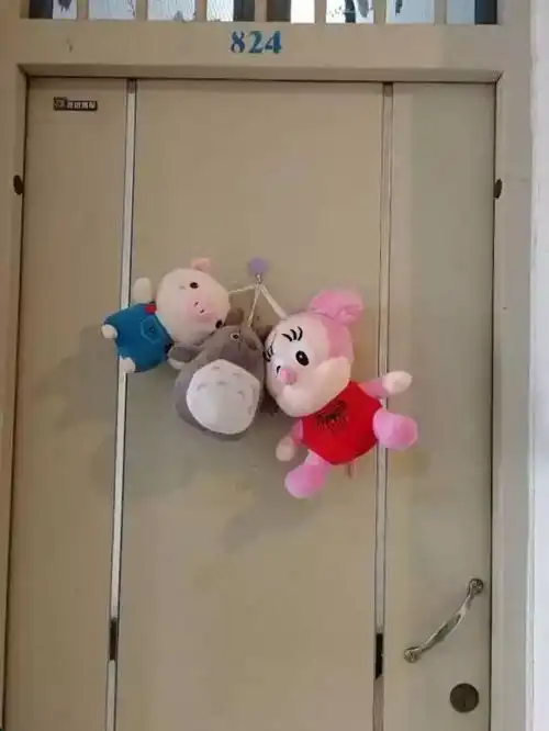 生权aunt谁是你们宿舍的门面担当