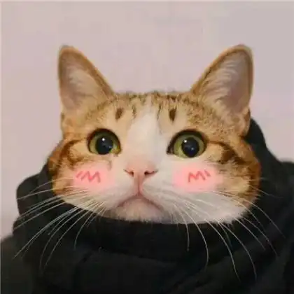 可爱萌猫情侣头像,命里有时终需有不要在意