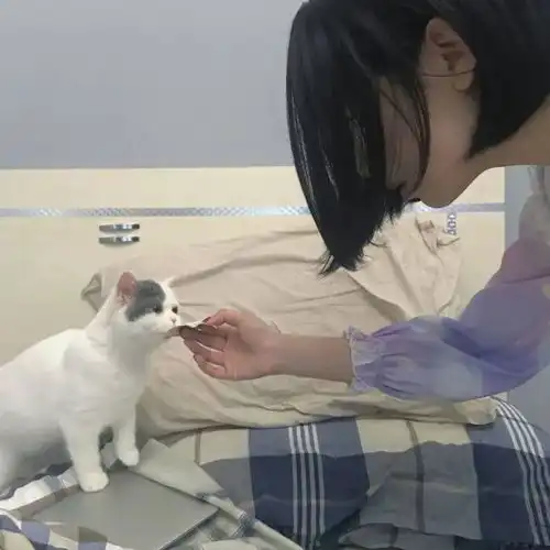 滴滴另一半不是人情侣头像来啦