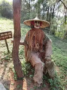 清远森波拉度假森林2人1夜自由行,入住森林皇宫酒店豪华双床房玩森林火山温泉游奇妙公园,远古森林中欢乐不停歇