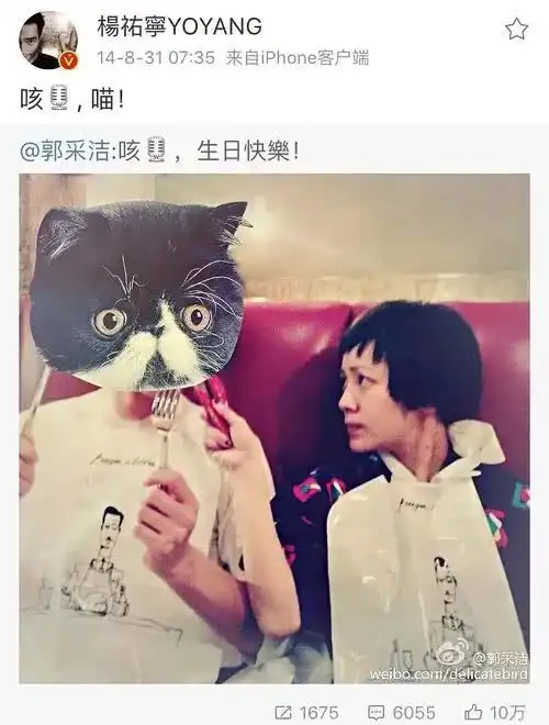 还在吃过期糖的网友终于死心了