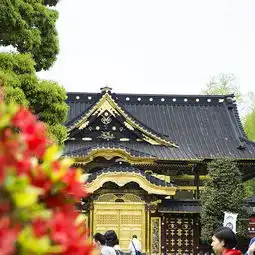 2018上野东照宫旅游攻略门票地址游记点评,东京旅游景点酒店购物美食推荐去哪儿攻略社区