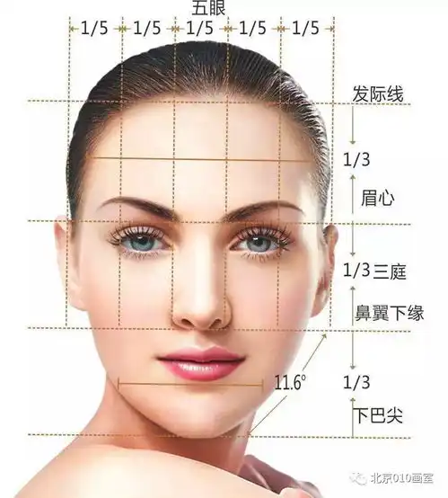 素描头像全讲解,让美术生全面了解素描头像第一期