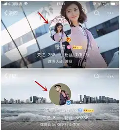 测试一个超长简介的文章