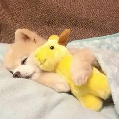 你的头像该换了,换个心情