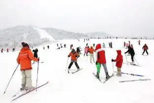 神农架国际滑雪2日游情人泉昭君故里体验南方亚布力享受冰雪世界纯玩嗨翻天