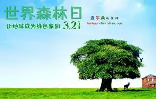 易车网临沂茂华吉利