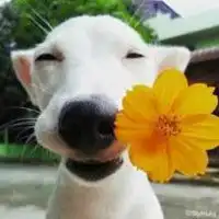 测试一个超长简介的文章
