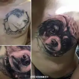 分手之后,前女友变成了一只狗