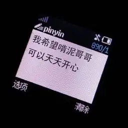 如果20年前有101和偶恋,关智斌参加,无法想象简直太能打了