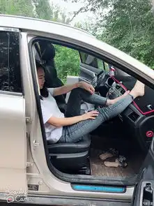 丛林里的小猛兽吉利帝豪gs