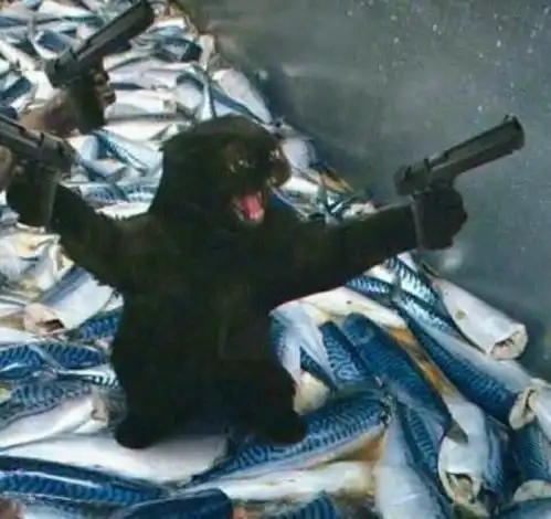 有没有那些很傻吊的情头