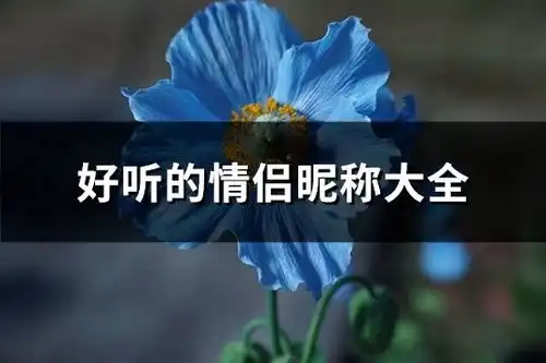 好听的情侣昵称大全精选262个