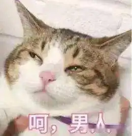 让b站大佬王老菊上头的游戏,又有新的小姐姐了