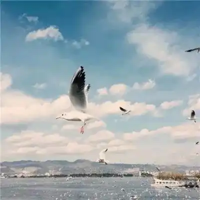 测试一个超长简介的文章