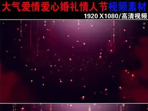 韩国风浪漫爱情情人节视频素材下载视频模板婚礼爱情背景视频大全编号16107981