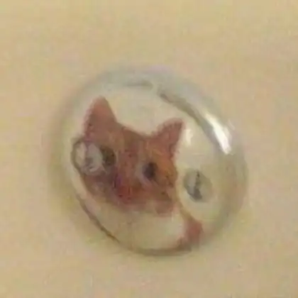 猫系列情侣头像猫咪情侣头像可爱图片