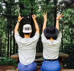 测试一个超长简介的文章
