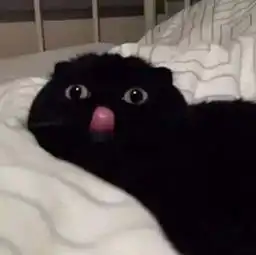 特别会安慰人情商高别逗了