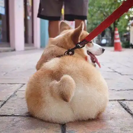 头像你有全世界,可我只有你