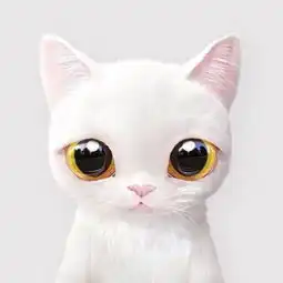 可爱猫猫情侣头像一对两张