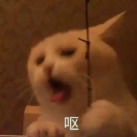 男子写80页ppt花5800元拯救爱情却离婚,情感挽回机构甩锅他实操迟缓