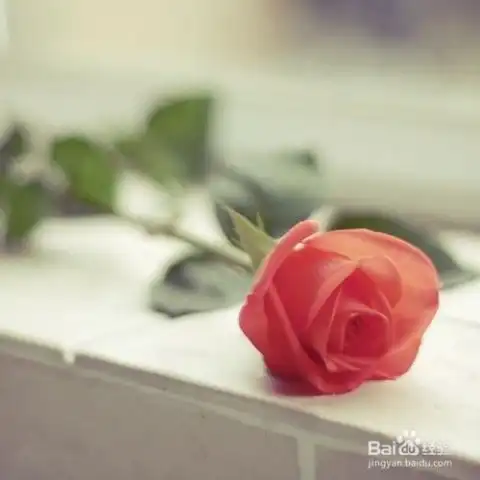 测试一个超长简介的文章