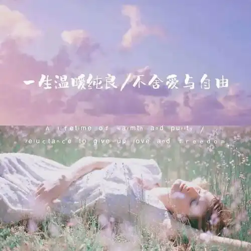 超甜超撩人的小情话,一句话打动人心