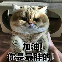 开心一刻笑话一男总爱蹲厕所时玩手机,半天不出来
