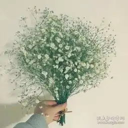 赤色邮政解放区邮票邮票税票