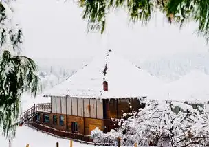 仙女山银装素裹冰天雪地下