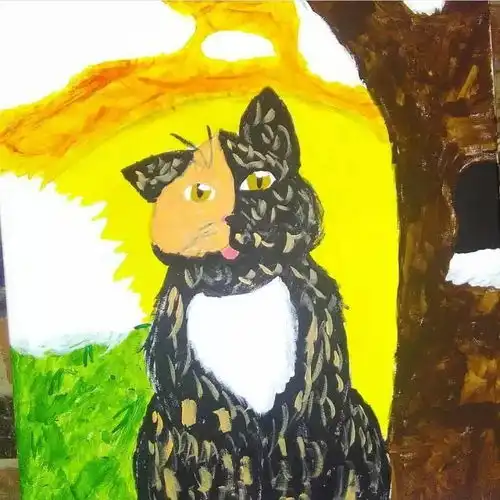 ins上有位妹子养了一只喵,从右边看是橘猫,从左边是黑猫像精灵一样