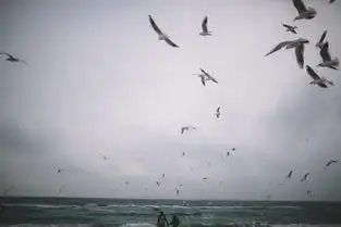 这样的情侣照真的是美到爆
